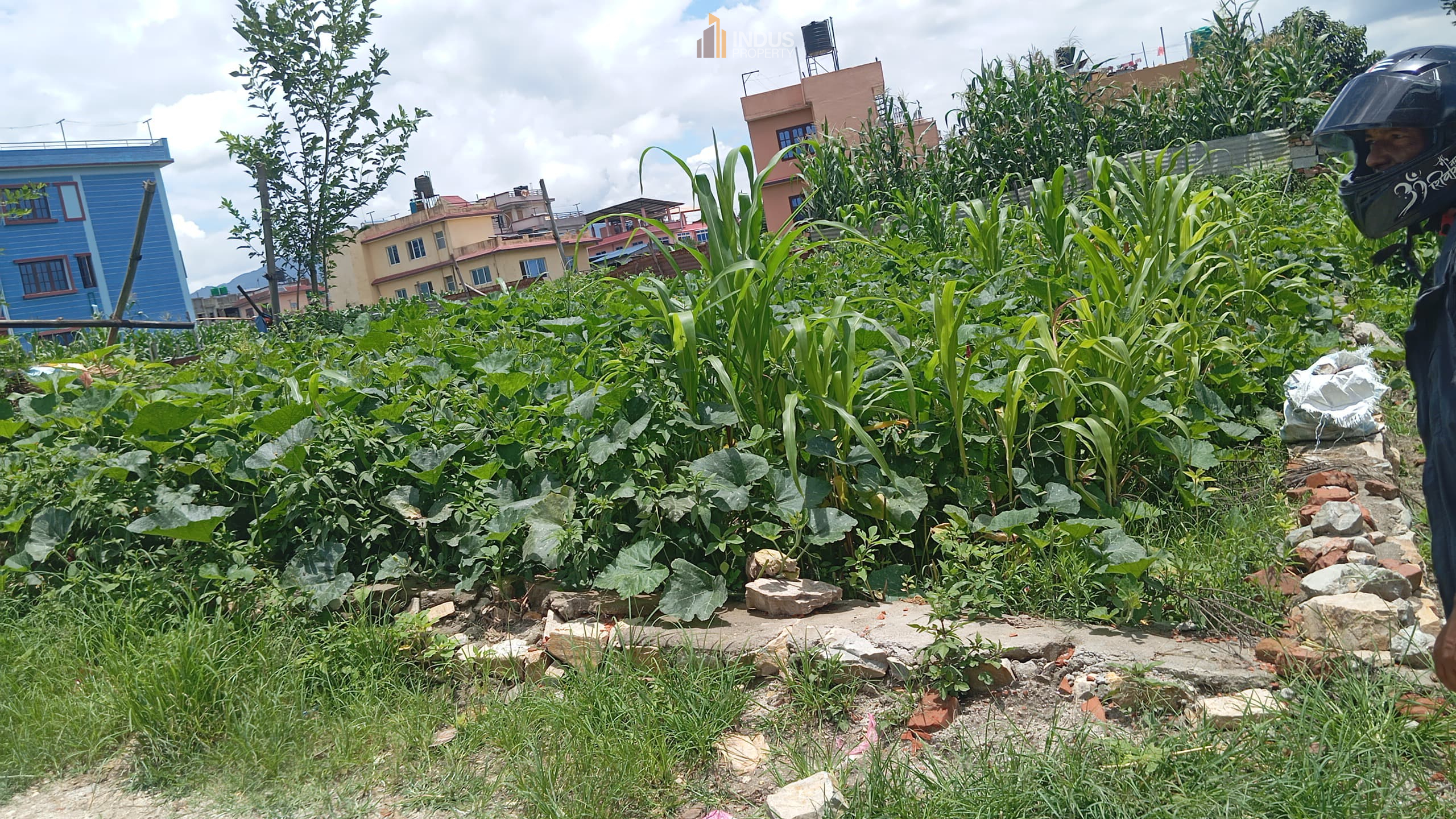 Picture of Kageshwari Manohara Municipality, Bagmati